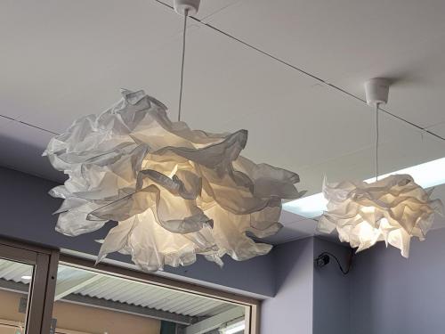 Forest-Fair-Hair-and-Beauty Forest Lake hair salon